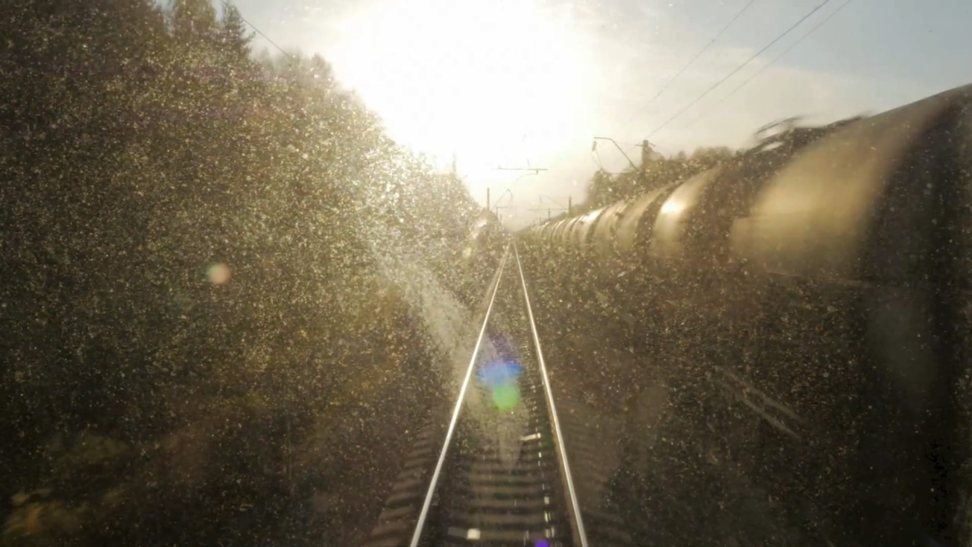 Film still Siberian Trance (Photo: Timo Menke © 2015)