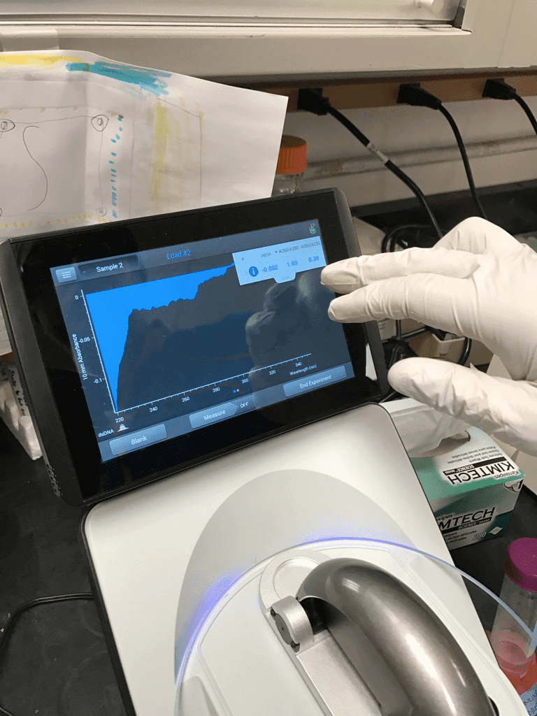 Bilden från mätningen av DNA-halt i en Nanodrop i labbet © Timo Menke 2017