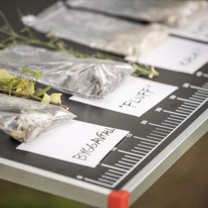 Naturkulturworkshop Waste-in-Progress 27 juli 2023