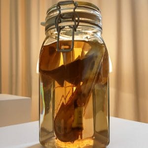 Wasteshop Gestaltad läsning 23 augusti 2024